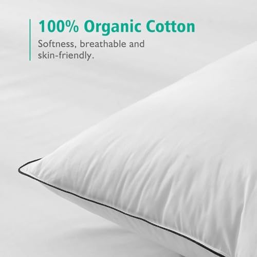 APSMILE Organic Feather Down Pillow Set of 2