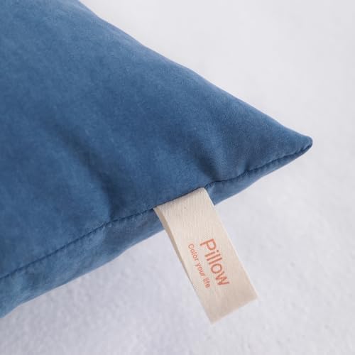 NTBAY Toddler Travel Pillow - 13x18 Denim Blue