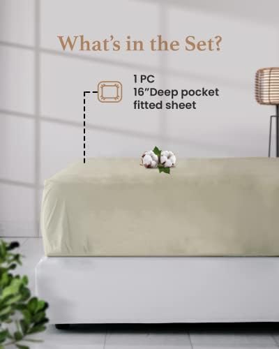 Good Sleep Bedding Queen Fitted Sheet Ivory 800 TC 16 Deep