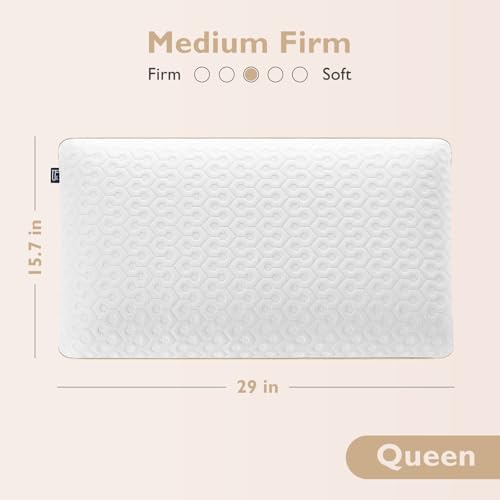 BedStory Memory Foam Pillow Queen - Medium Firm