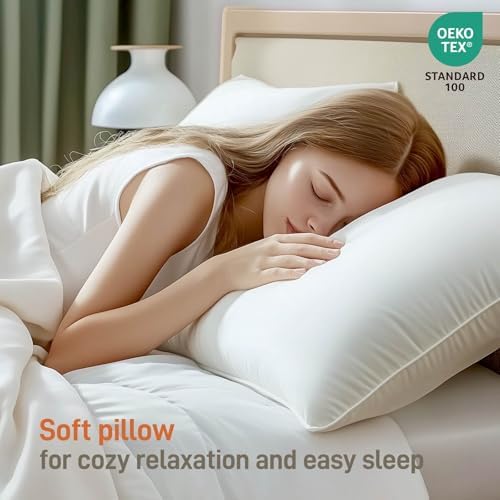 Alkyonos Bamboo Viscose Bed Pillows Set of 2 with Down Alternative Filling