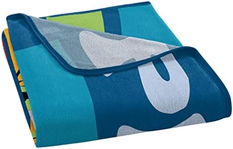 Northwest Pluto Stripes Micro Raschel Throw Blanket 46 x 60