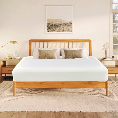 Biscaynebay Queen Bed Skirt Ivory Stretchy Box Spring Cover