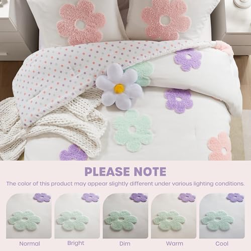 Urban Habitat Kids Queen Comforter Set with Reversible Design