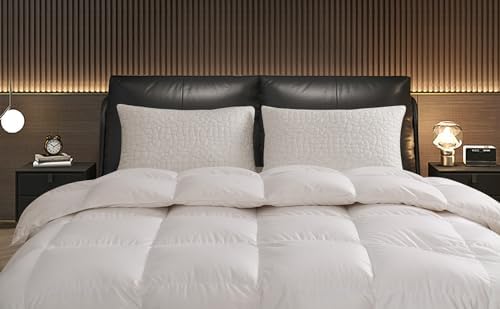 RGTIME Shredded Memory Foam Pillow Set of 2