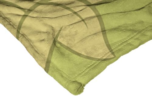 Northwest Disney 100 Silk Touch Throw Blanket Bayou Friends