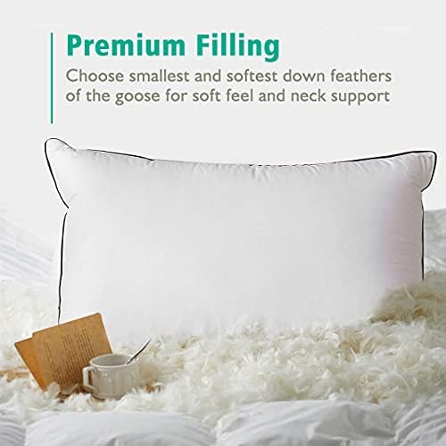 APSMILE Organic Feather Down Pillow Set of 2