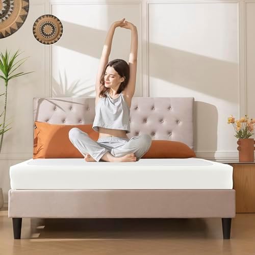 Biscaynebay Queen Bed Skirt Ivory Stretchy Box Spring Cover