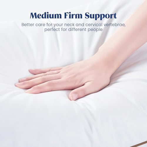 Puredown Goose Feather Down Pillows Queen Size Set of 2 1