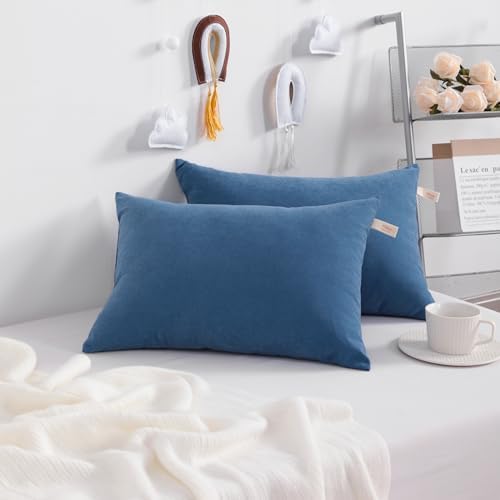 NTBAY Toddler Travel Pillow - 13x18 Denim Blue