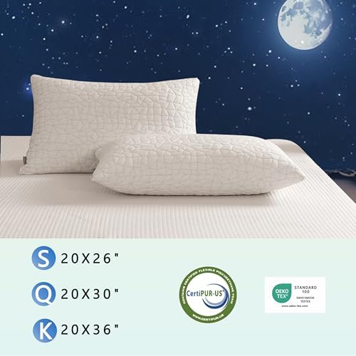 RGTIME Shredded Memory Foam Pillow Set of 2