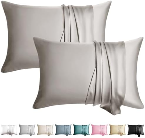 WLOSJ Mulberry Silk Pillowcase 13x18 Inches Toddler Size 2 Pack