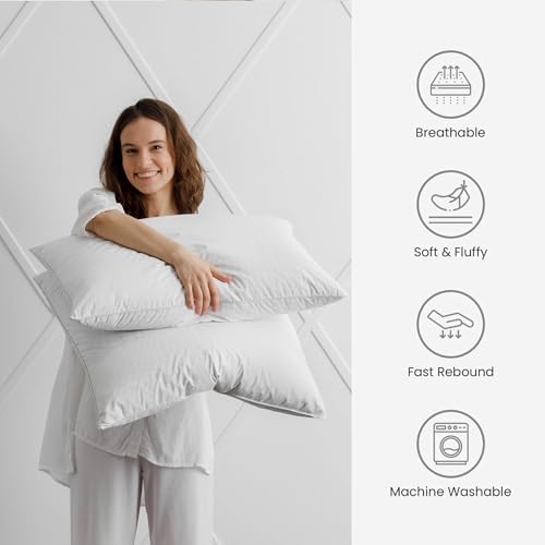 FZZOR Soft Flat Comfy Bed Pillow Set of 2