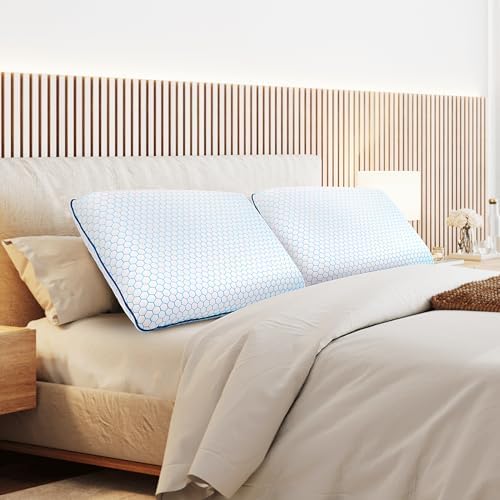 CushyOasis Memory Foam Pillows Set of 2 Blue Queen Size