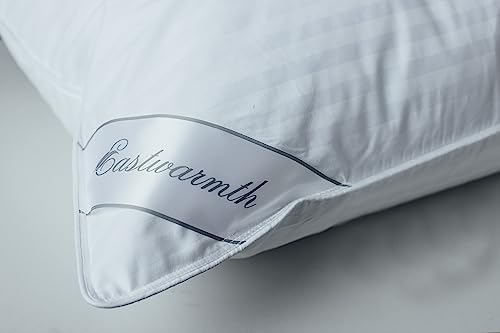 Eastwarmth Goose Down Feather Soft Pillow 20x36inch Stripe White