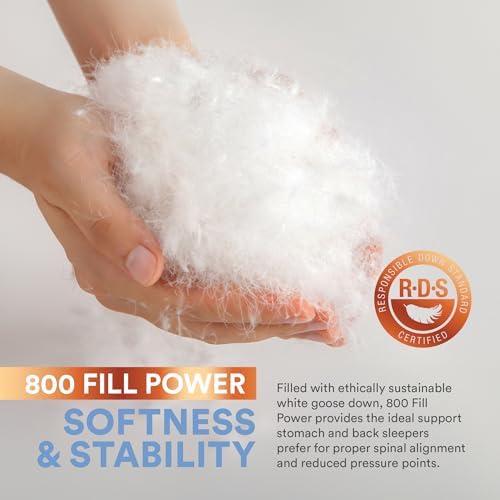 Continental Bedding 100 Siberian Goose Down Pillow 800 Fill Power 1