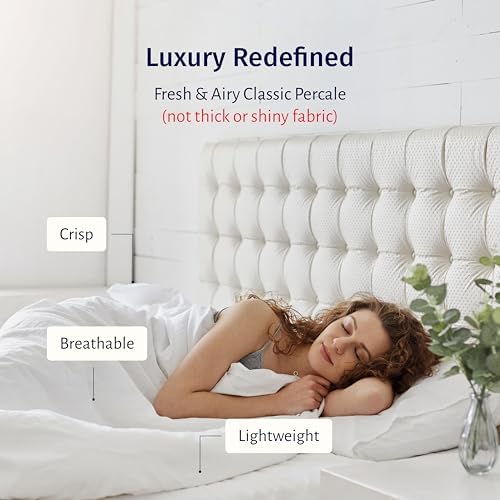 California Design Den Grey Queen Sheet Set - 100 Egyptian Cotton Percale 1