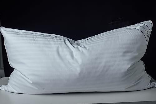 Eastwarmth Goose Down Feather Soft Pillow 20x36inch Stripe White