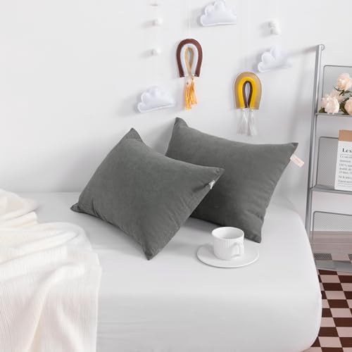 NTBAY Tiny Pillows 7x11 Inches Microfiber
