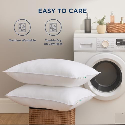 Bedsure Fluffy Pillows Set of 2 - 19x26