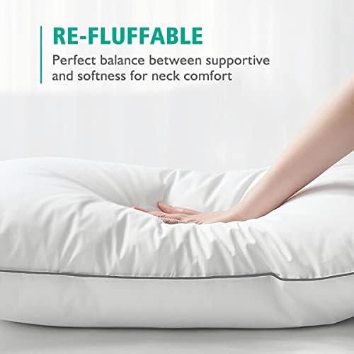 APSMILE Organic Feather Down Pillow Set of 2