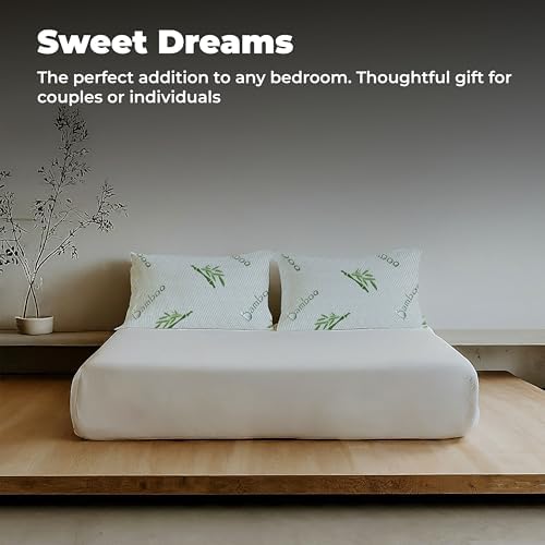OMEO 2 Pack Rayon Bamboo Memory Foam Pillows