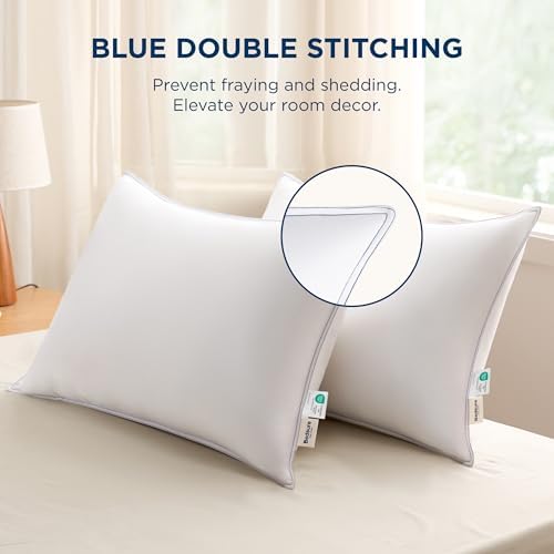 Bedsure Fluffy Pillows Set of 2 - 19x26