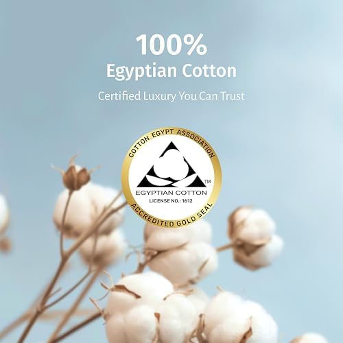 California Design Den Grey Queen Sheet Set - 100 Egyptian Cotton Percale 1