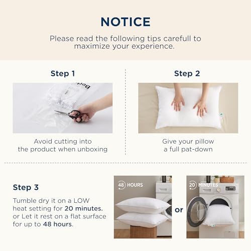 Bedsure Fluffy Pillows Set of 2 - 19x26