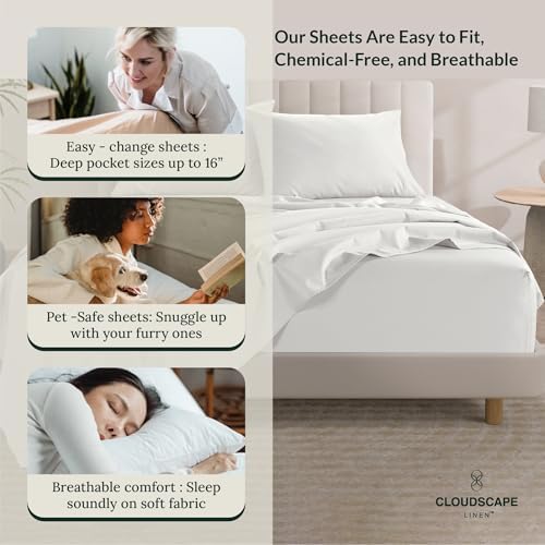Cloud Scape Linen 100 Egyptian Cotton Queen Sheet Set 4PC