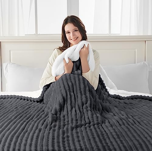 Sealy Electric Blanket Twin Size with 10 Heat Settings