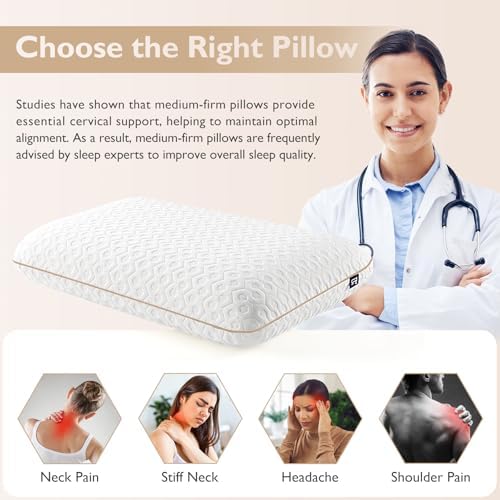 BedStory Memory Foam Pillow Queen - Medium Firm