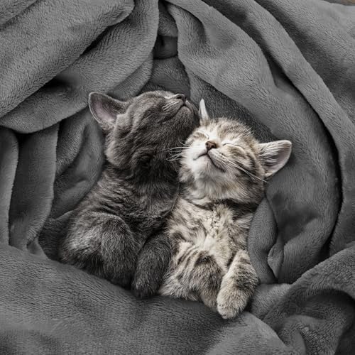 Utopia Bedding Fleece Blanket Twin Grey 300GSM 1