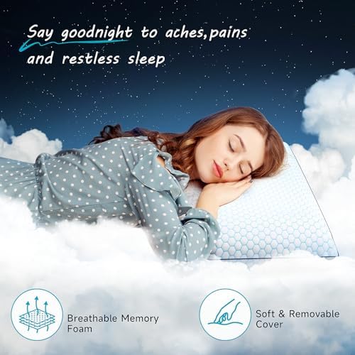 CushyOasis Memory Foam Pillows Set of 2 Blue Queen Size