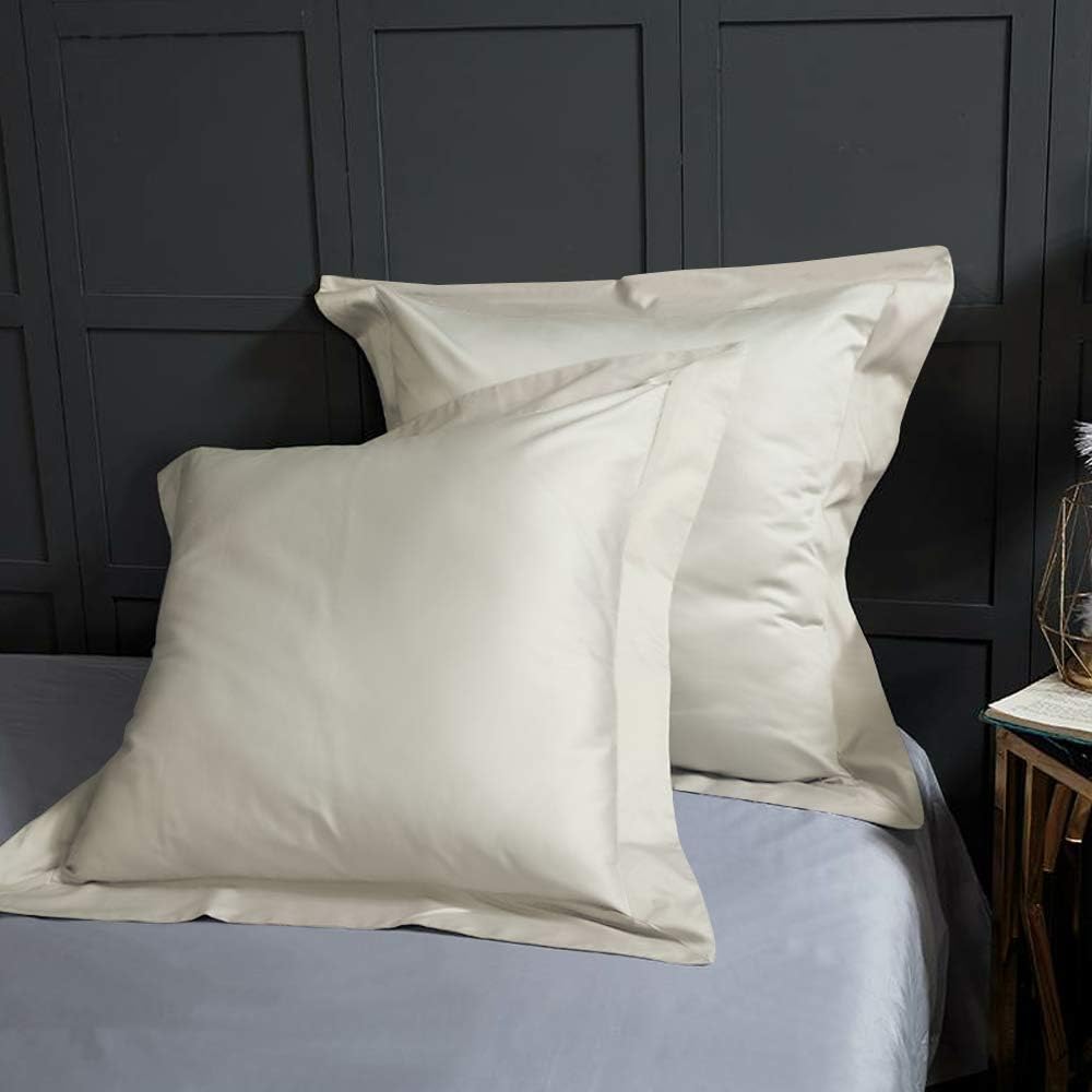 BEDSUM 2 Pcs Microfiber Pillow Shams 26x26 Light Grey