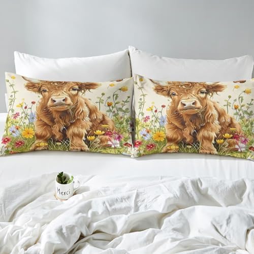Jejeloiu King Size Highland Cow Bed Sheet Set