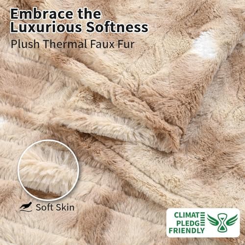 Fantico Electric Blanket Queen Size with Dual Control 1