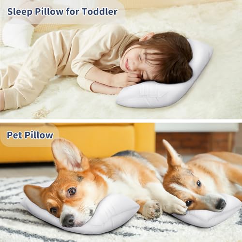 Pro Goleem Mini Travel Pillow 11x6x25 for Kids Baby Camping