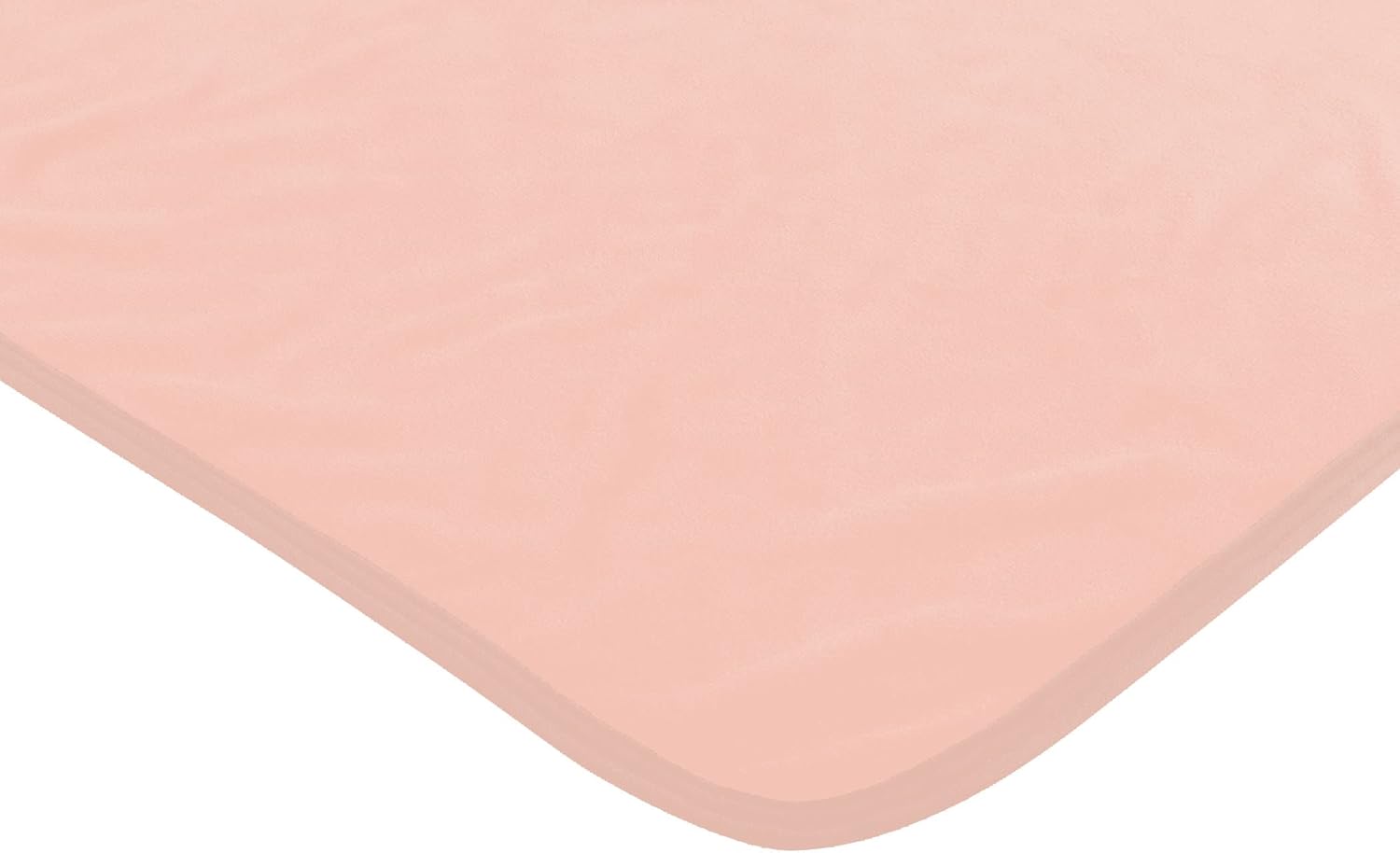 Northwest Princess and The Frog Micro Raschel Throw Blanket - Blossoming Tiana