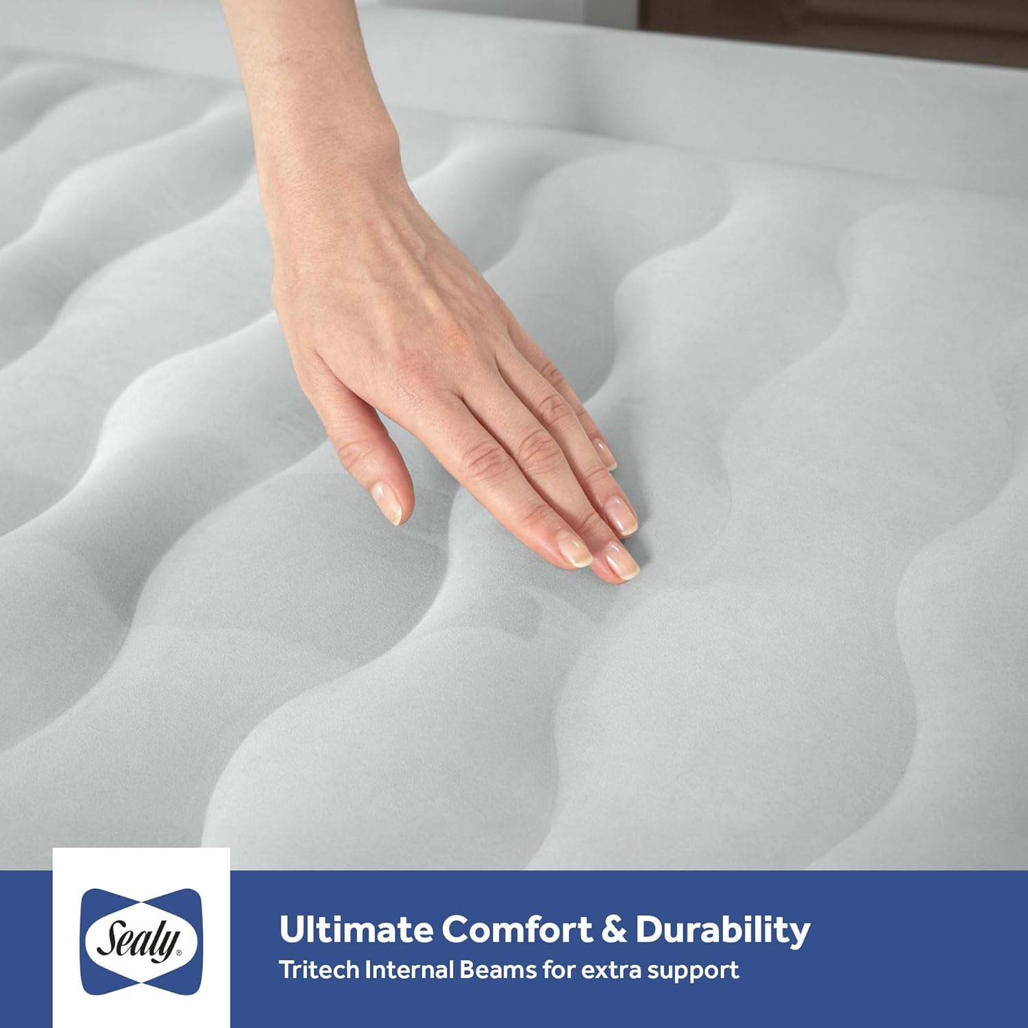 Sealy Twin-Sized 18 Air Mattress with Pump and Storage