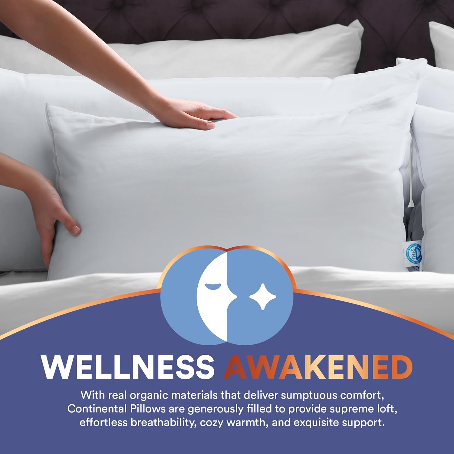 Continental Bedding 100 Siberian Goose Down Pillow 800 Fill Power 1