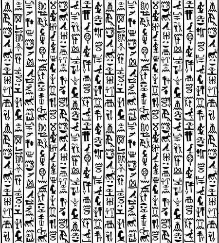Ambesonne Egyptian Print Duvet Cover Set King Size Charcoal White 1