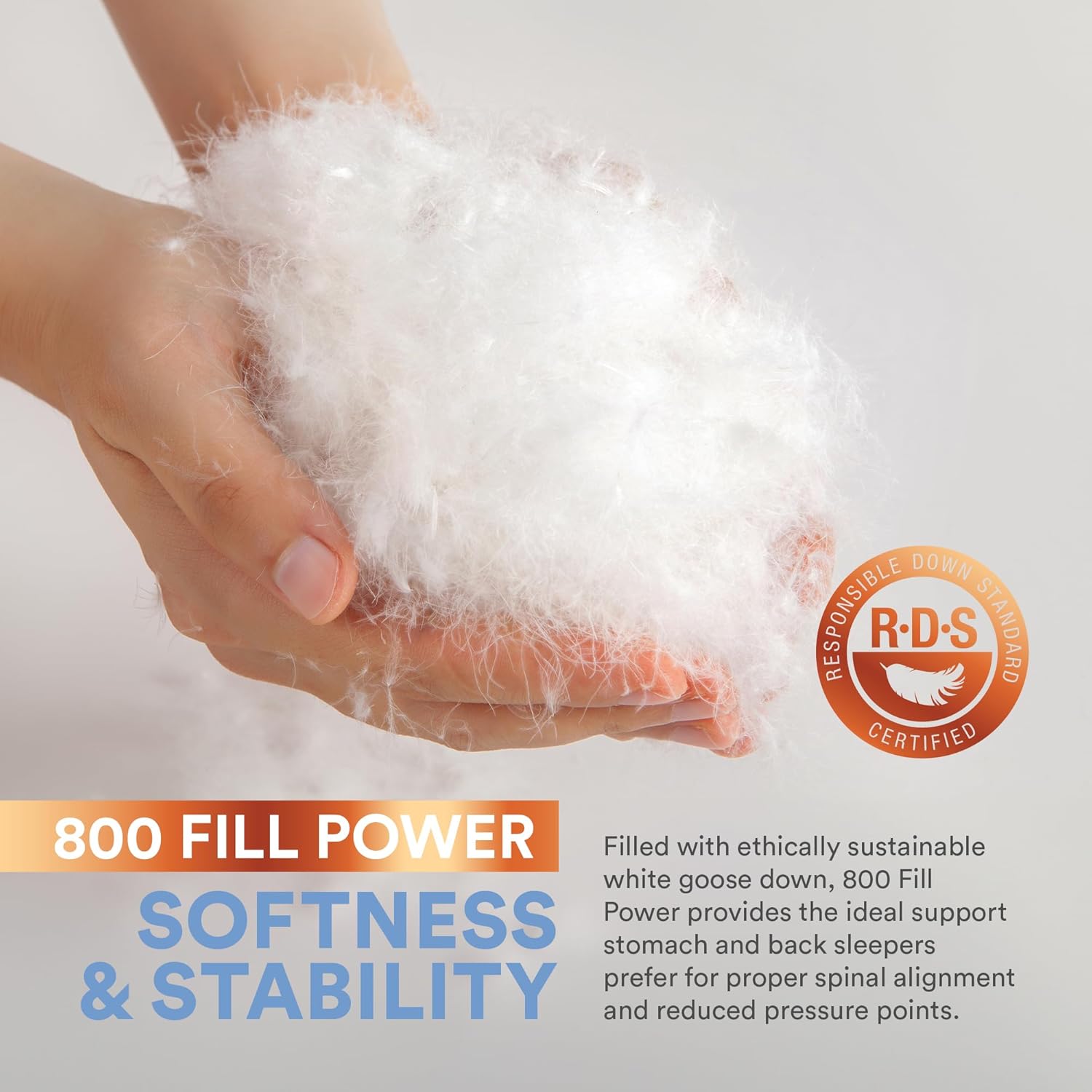 Continental Bedding 100 Siberian Goose Down Pillow 800 Fill Power 1