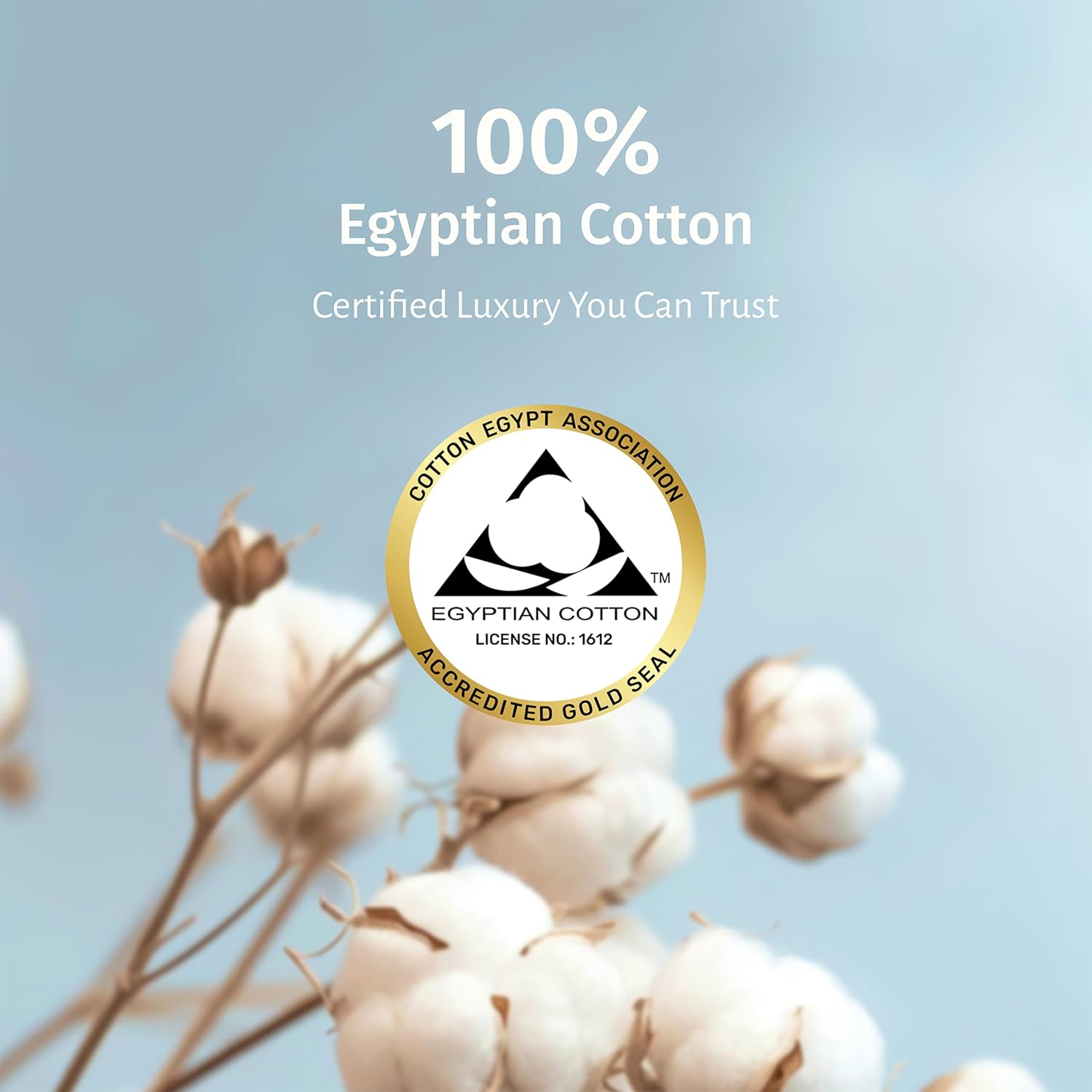 California Design Den Grey Queen Sheet Set - 100 Egyptian Cotton Percale 1
