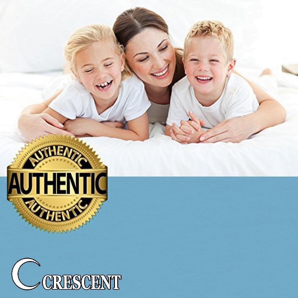 Microfiber Twin Fitted Sheets 2-Pack Ultra Soft Light Blue