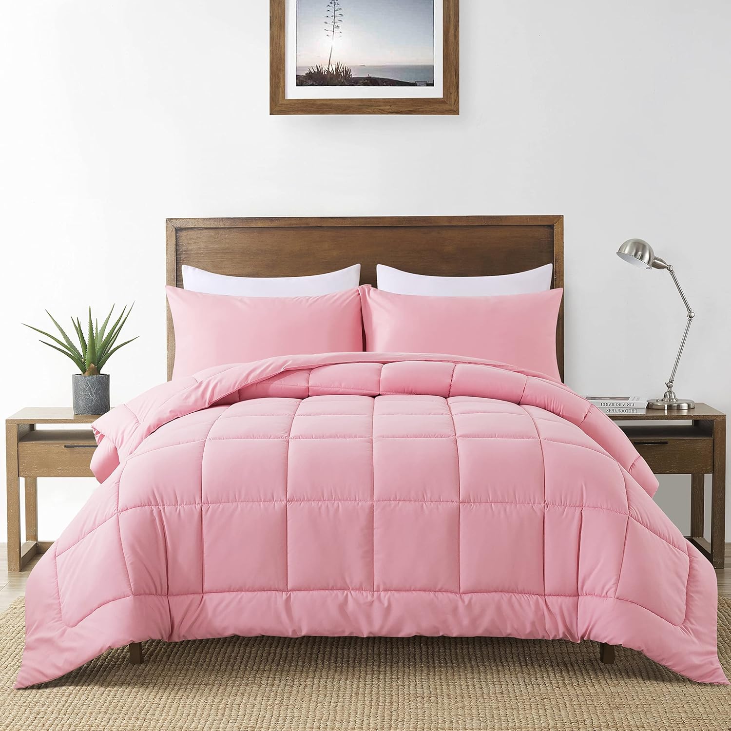 DOWNCOOL Queen Comforter Set with 2 Pillow Cases