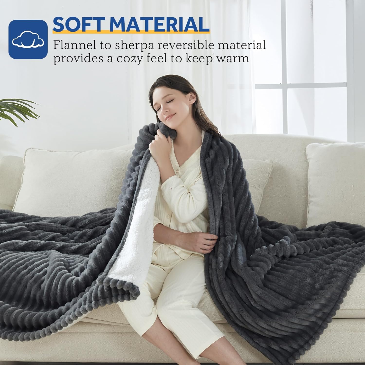 Sealy Electric Blanket Twin Size with 10 Heat Settings