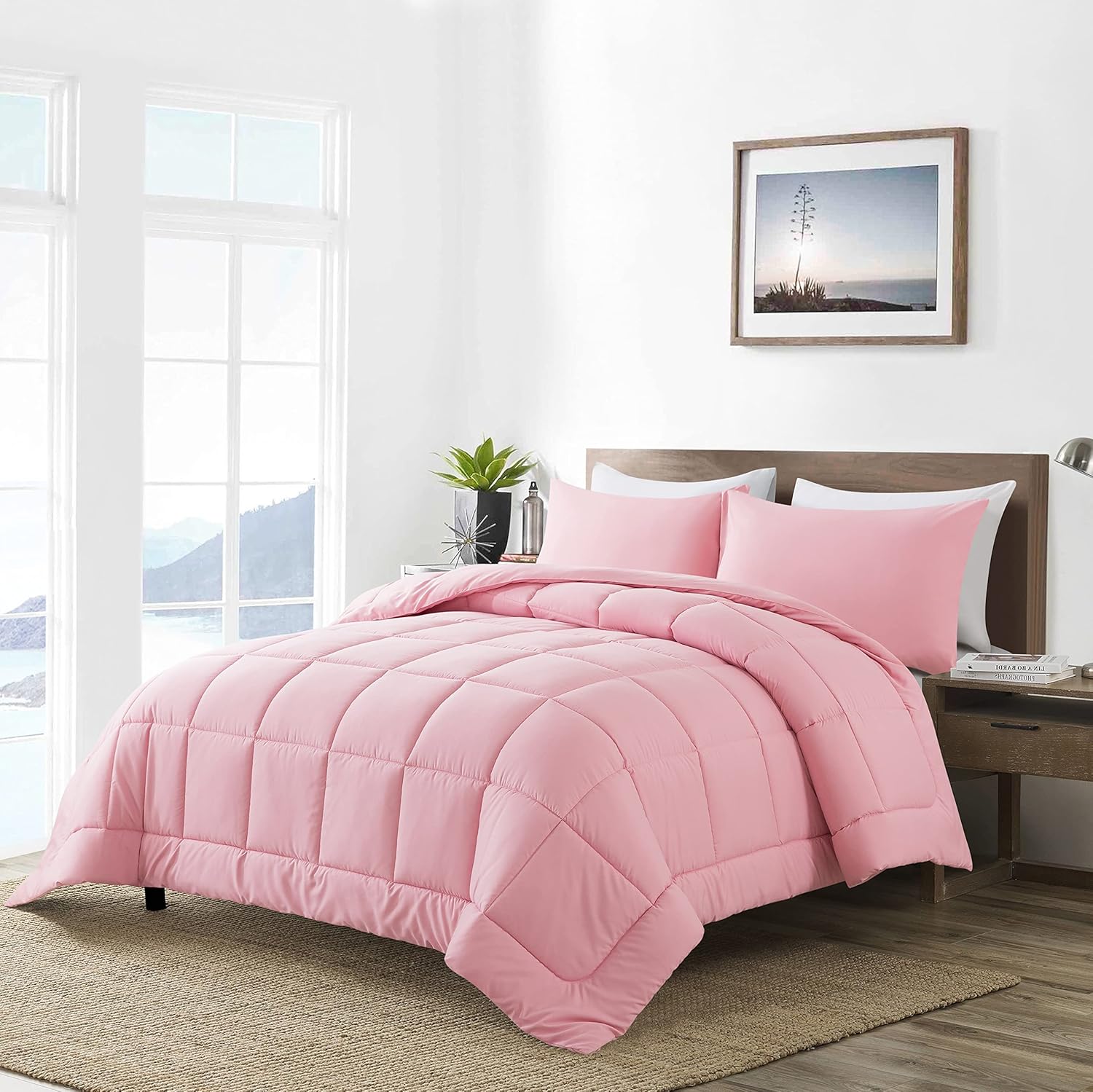 DOWNCOOL Queen Comforter Set with 2 Pillow Cases