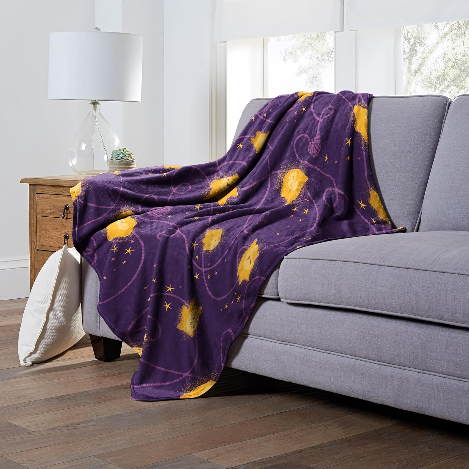Northwest Disney Wish Silk Touch Throw Blanket 50x60